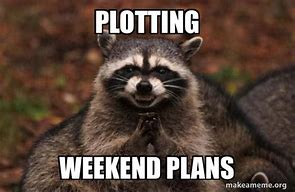 Image result for Raccoon Weekend Plans Meme