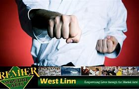 Image result for Premier Martial Arts West Valley Utah