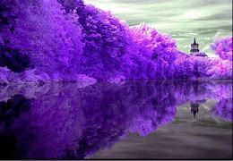 Image result for Aesthetic Purple Landscape Tree