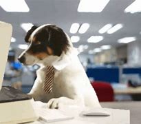 Image result for Animals at Work