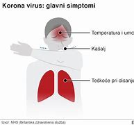 Image result for Simptomi Virusa