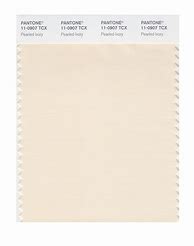 Image result for Champagne Pantone Number TCX