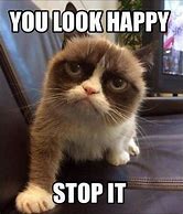 Image result for grumpiest cats meme