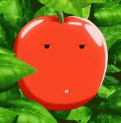 Image result for Funny Apple Face