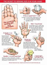 Image result for Cup Size Hand