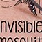Image result for How to Make Yourself Invisible