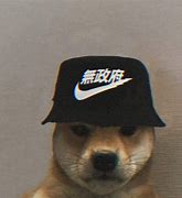 Image result for Dog Nike Meme