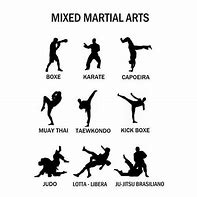 Image result for List of Common Martial Arts