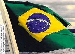 Image result for Brazil Flag Meme