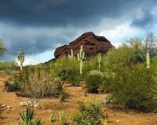Image result for Scottsdale Arizona Desert Landscape