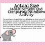 Image result for Actual Size Steve Jenkins Activities