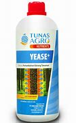 Image result for 30 Yease Design