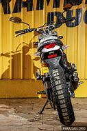 Image result for Ducati Scrambler Desert Sled Top Box and Panniers