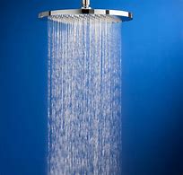 Image result for Triton Shower Heads