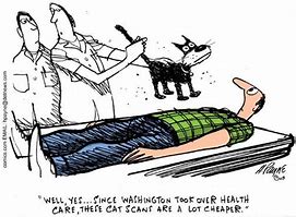 Image result for Cat Scan Funny Cartoons