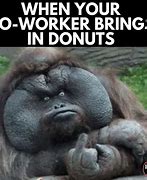 Image result for Funny Office Worker Meme