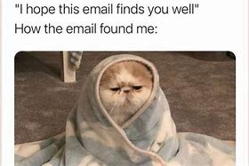 Image result for Bad Email Meme