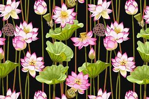 Image result for Lotus Blossom Art