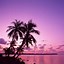 Image result for Pink Beach Wallpaper Phone
