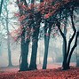 Image result for Cold Weather Background HD