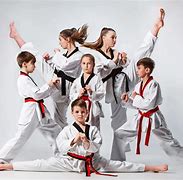Image result for What Are Martial Arts