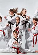 Image result for Martial Arts and More