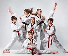 Image result for Silvis Martial Arts