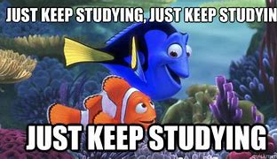 Image result for Just Keep Studying Meme