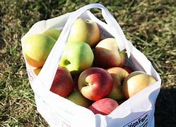 Image result for Apple's in Big Bag