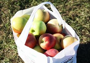 Image result for A Bag of 5 Apple's
