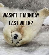 Image result for Happy Monday Baby Animals