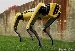 Image result for Spot Robot Top Mount