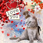 Image result for Cute I Love You Cat Memes