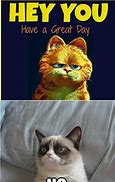 Image result for 50 Funniest Grumpy Cat Memes