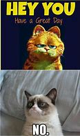 Image result for Grumpy Cat Payday