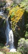 Image result for 1511 Mt Diablo Blvd., Walnut Creek, CA 94596 United States