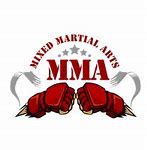 Image result for MMA Photography