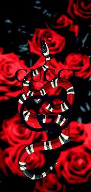 Image result for Gucci Drip Laptop Wallpaper