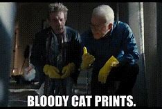 Image result for Bloody Shoe Print