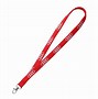 Image result for Wire Cable Carabiner Key Chain Lanyard