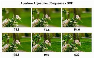 Image result for Olympus F18 Lens
