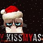 Image result for Grumpy Cat Christmas