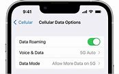 Image result for Data Roaming iPhone 11