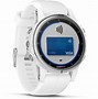 Image result for Garmin Fenix Silver