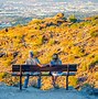 Image result for Arizona Desert Flora