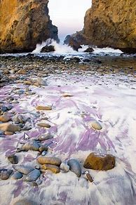 Image result for Purple Beach Big Sur