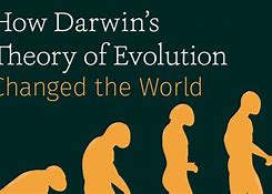 Image result for Darwin Big Bang Evolution