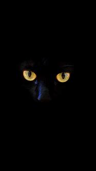 Image result for Black Cat Galaxy Wallpaper