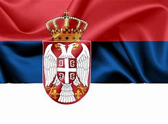 Image result for Srpska Zastava