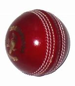Image result for Playing Cricket